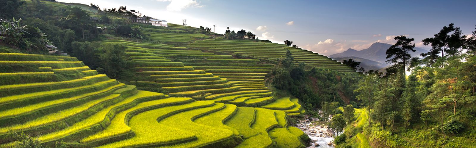 Việt Nam  Du Lịch Tham Quan